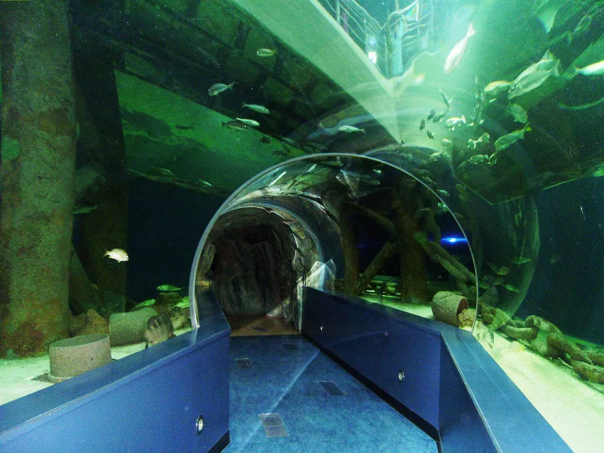 Sharjah Aquarium Guide: Kids' Ages, Timings & Combo Passes